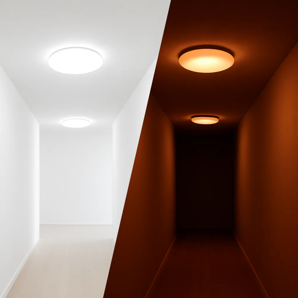 Noxion Corido Pro V2 in gang